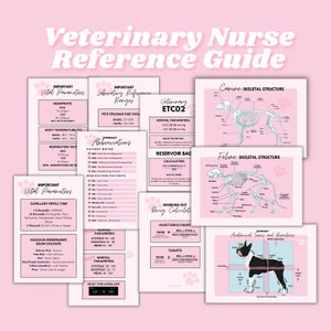 Guida di riferimento per l'assistenza infermieristica veterinaria Poster tascabile DOWNLOAD DIGITALE 10 pagine