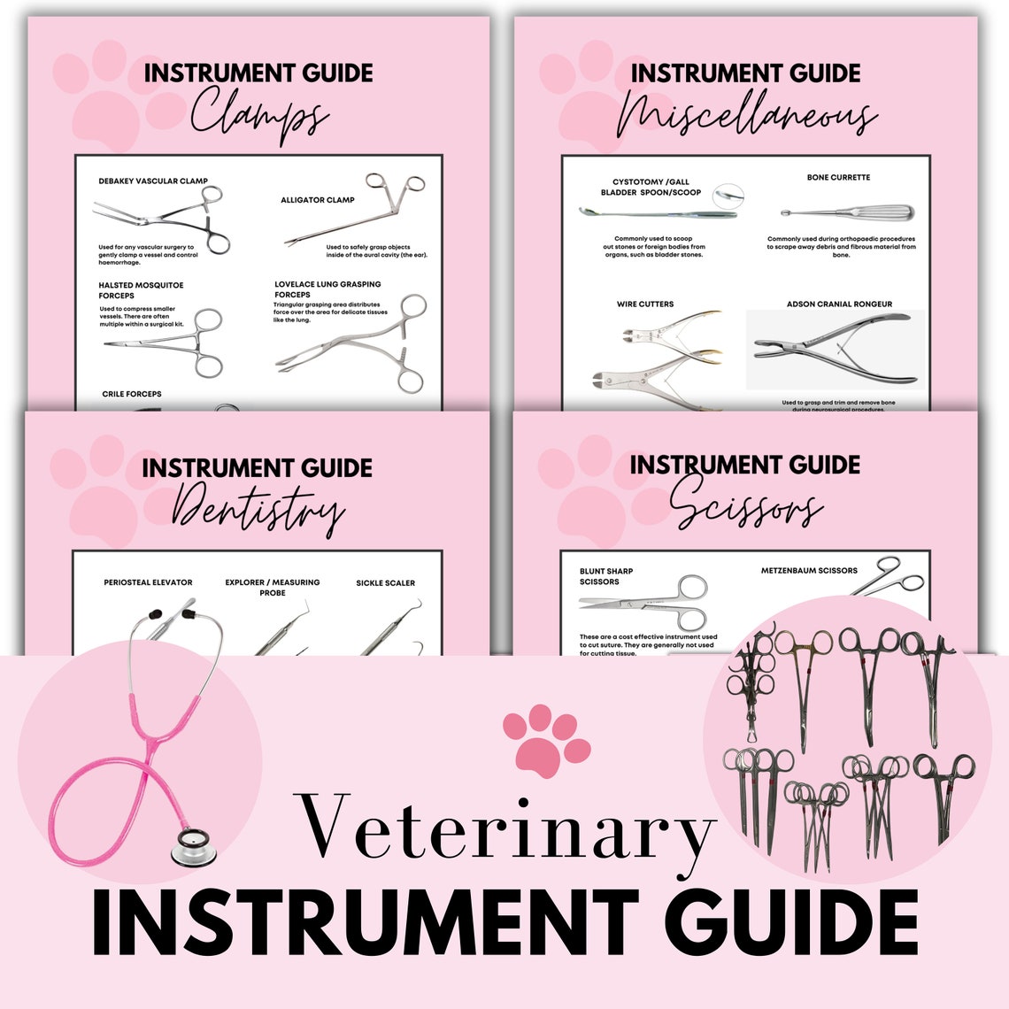 Instrumentation Guide Sheets Veterinary Instrumentation Guide Surgical Instrument Poster DIGITAL ...