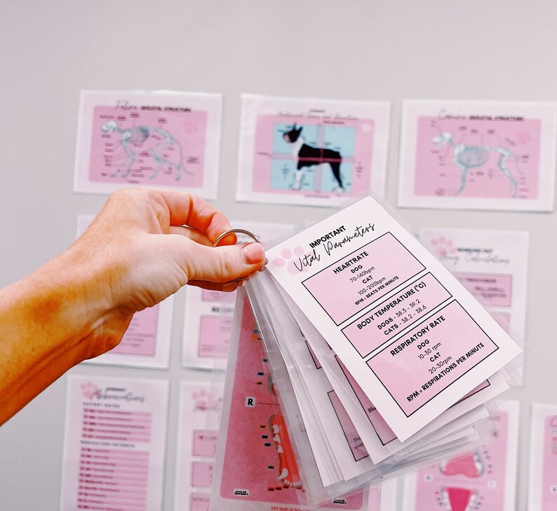 Veterinary Nursing Reference Guide Pocket Poster DIGITAL DOWNLOAD 10