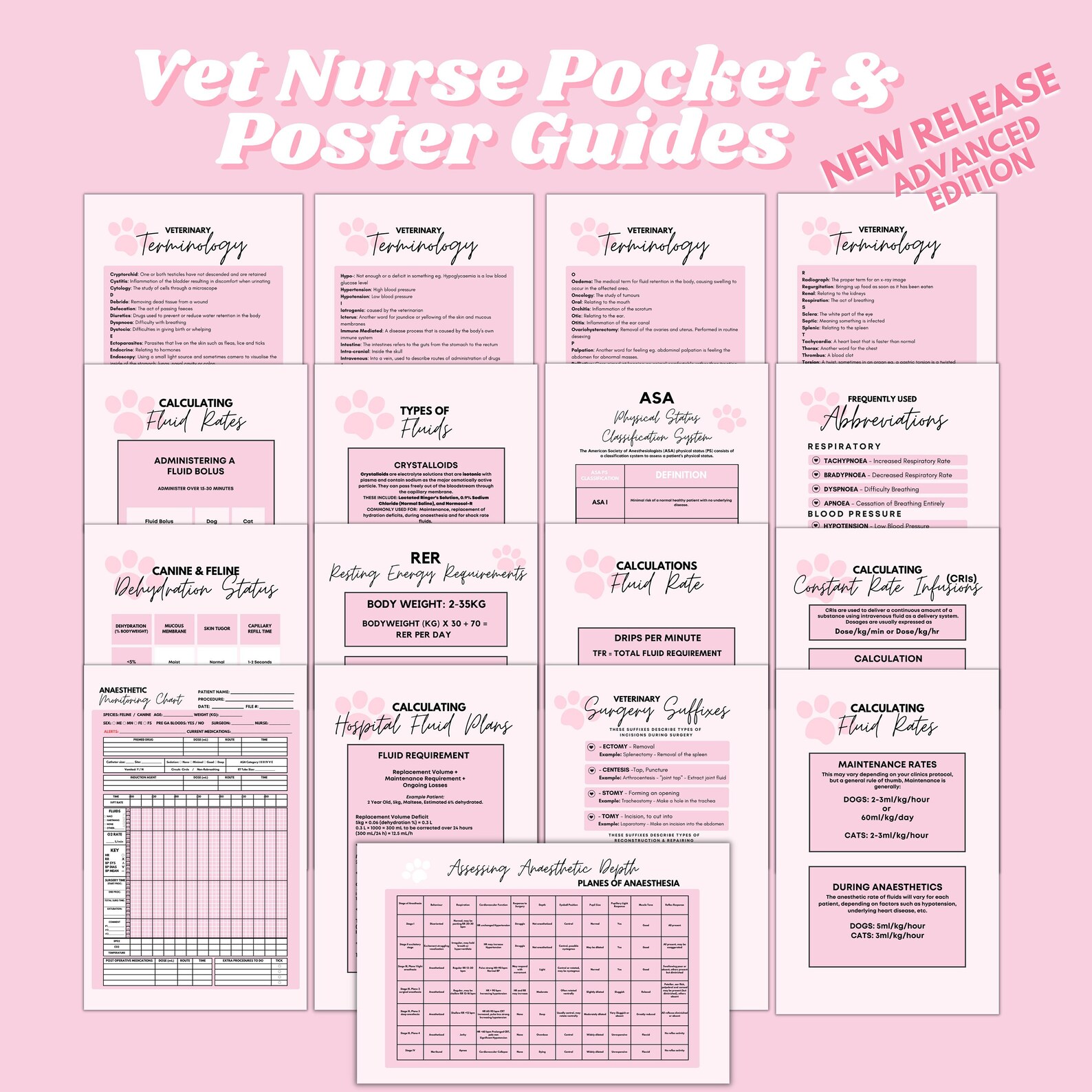 Advanced Veterinary Nursing Reference Guides DIGITAL DOWNLOAD Etsy