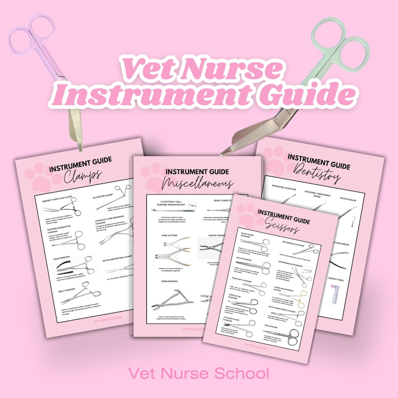 Veterinary Charting Instruments Veterinary Instrumentation Guide Surgical Instrument Poster DIGITAL ...