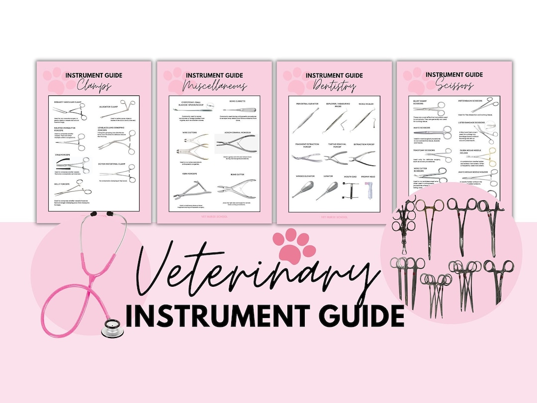 Veterinary Instrumentation Guide Surgical Instrument Poster DIGITAL ...