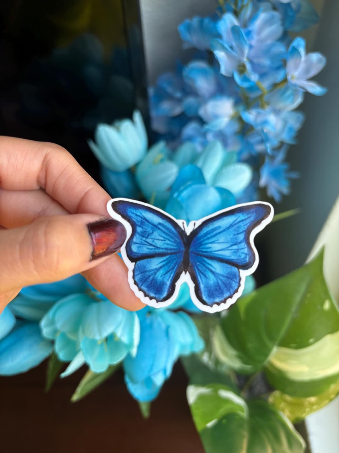 Giant Blue Morpho Sticker - Etsy