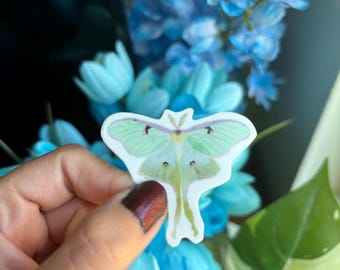 Luna Moth Sticker