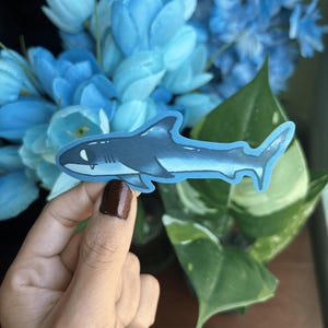 Shark Sticker