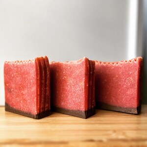 Reindeer Snacks - Homemade, natural soap, Shea butter, bath bars, body bars, hand soap, perfect gift!