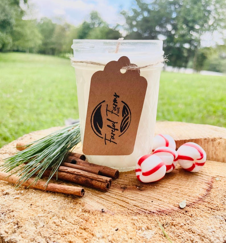 A white candle in a clear mason jar with a brown tag sits on a tree stump, with pine needles, cinnamon sticks, and three red and white candies.