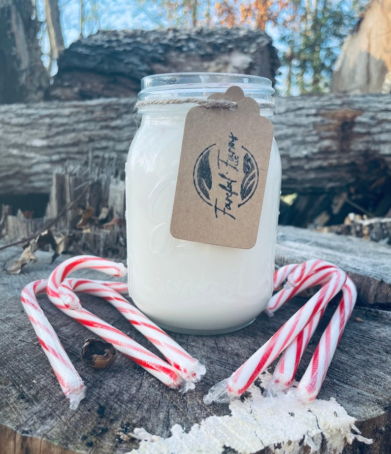 A white candle in a clear mason jar with a brown tag sits on a tree stump, surrounded by three red and white candy canes.