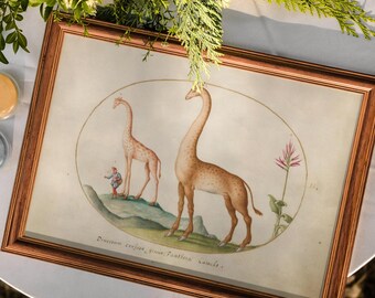 Vintage Giraffe Print by Joris Hoefnagel, Renaissance Flemish Animal Art, Antique Watercolor, Nursery Wall Decor