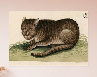 不気味な中世の猫のプリント、奇妙な動物寓話の壁アート、気まぐれな