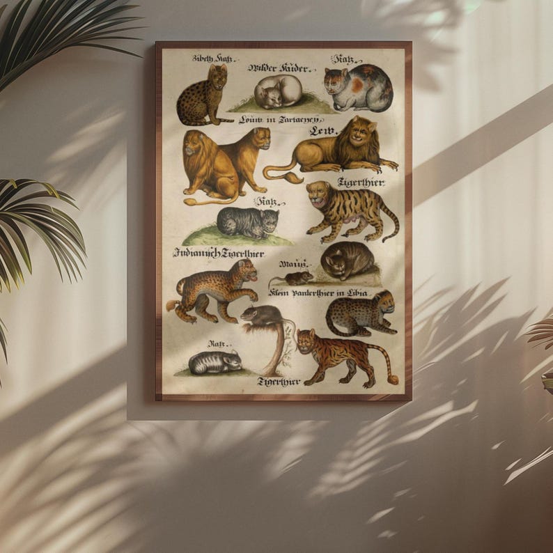 Liger Names Medieval Cats Poster, Big Cats Breeds, Tiger Lion Leopard Cheetah ...