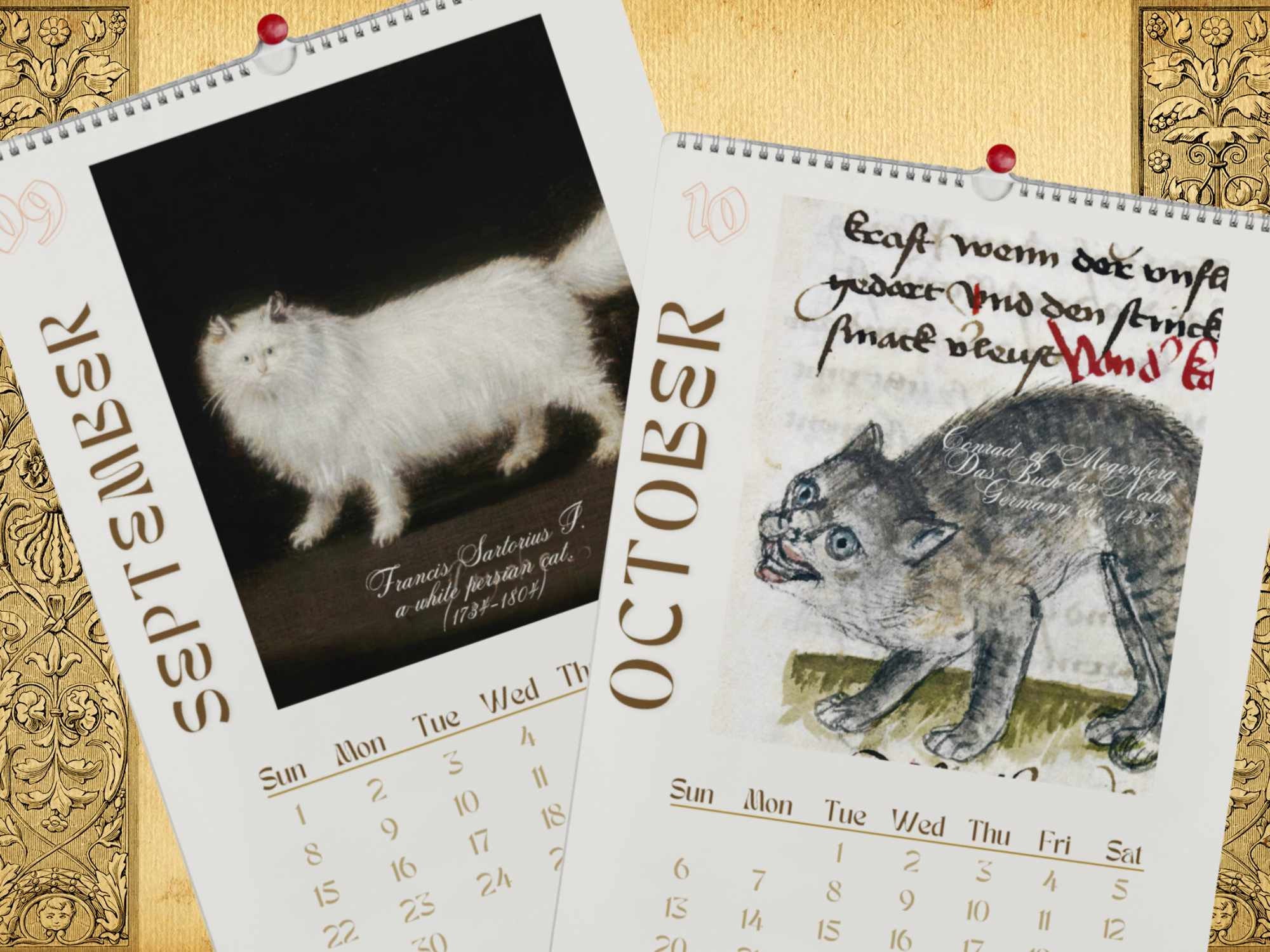 Calendrier médiéval 2024 avec chats médiévaux bizarres, calendrier