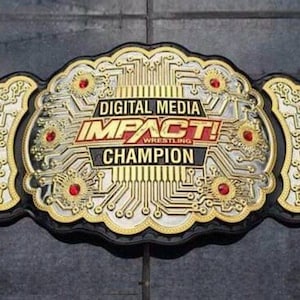 DIGITAL IMPACT CHAMPIONSHIP wrestling title belt