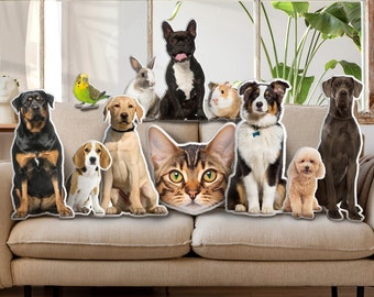 Op maat gemaakt 3D huisdierkussen van foto - Personaliseer hondcadeau Kattencadeau Valentijnsdagcadeau - Dubbel bedrukt katoenen hondenkussen Huisdierkussen Kattenkussen