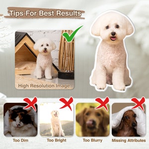 K&ouml;nnte beinhalten: Ein Bild mit dem Text &bdquo;Tipps f&uuml;r beste Ergebnisse&ldquo; und &bdquo;Hochaufl&ouml;sendes Bild&ldquo;. Es zeigt einen wei&szlig;en Bichon Frise-Hund in einem Hundeh&auml;uschen aus Holz und einen Aufkleber desselben Hundes. Das Bild zeigt auch Beispiele f&uuml;r Bilder, die &bdquo;Zu dunkel&ldquo;, &bdquo;Zu hell&ldquo;, &bdquo;Zu verschwommen&ldquo; und &bdquo;Attribute fehlen&ldquo; sind.