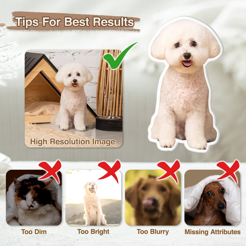 K&ouml;nnte beinhalten: Ein Bild mit dem Text &bdquo;Tipps f&uuml;r beste Ergebnisse&ldquo; und &bdquo;Hochaufl&ouml;sendes Bild&ldquo;. Es zeigt einen wei&szlig;en Bichon Frise-Hund in einem Hundeh&auml;uschen aus Holz und einen Aufkleber desselben Hundes. Das Bild zeigt auch Beispiele f&uuml;r Bilder, die &bdquo;Zu dunkel&ldquo;, &bdquo;Zu hell&ldquo;, &bdquo;Zu verschwommen&ldquo; und &bdquo;Attribute fehlen&ldquo; sind.