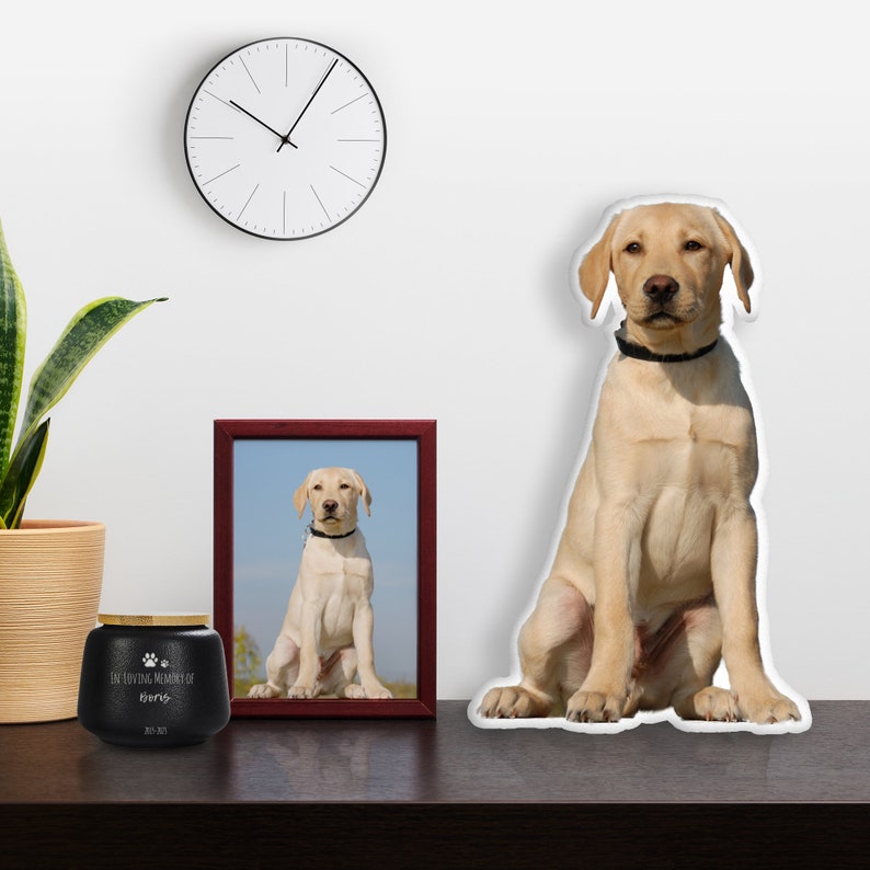 K&ouml;nnte beinhalten: Eine schwarze Urne f&uuml;r Haustiere mit goldenem Deckel, ein gerahmtes Foto und ein kissenf&ouml;rmiger Hund sind auf einer dunklen Oberfl&auml;che ausgestellt. Die Urne tr&auml;gt die Aufschrift "In Loving Memory of" und einen Namen. Eine minimalistische Uhr h&auml;ngt an der wei&szlig;en Wand.
