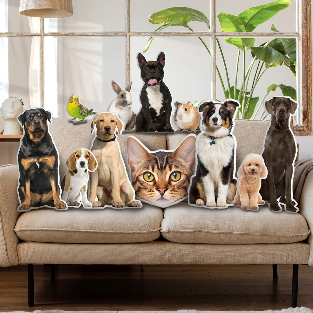 Custom 3D Pet Pillow From Photo Personalize Dog Gift Cat Gift Valentine