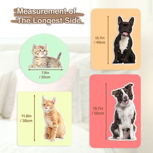 Almohada para mascotas 3D personalizada a partir de la foto Personalizar regalo para perros Regalo para gatos Regalo del día de San Valentín Almohada para perros de algodón con doble estampado Almohada para mascotas Almohada para gatos imagen 4