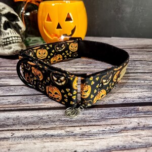 May include: Black dog collar with a Halloween-themed print of orange pumpkins and candy corn on a black background. The collar has a silver charm attached.