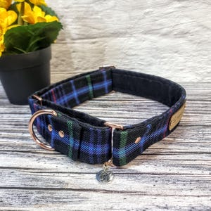 Pride of Wales Tartan Martingale Collar