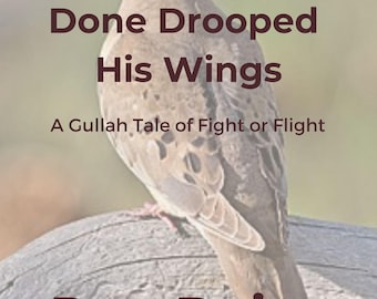 Turtle Dove Done Drooped His Wings, A Gullah Tale of Fight or Flight by Ron Daise