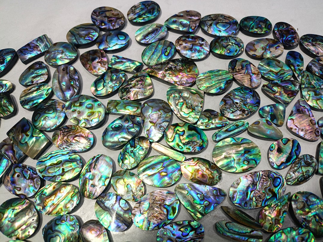 Natural Abalone Shell Lot, AAA Gemstone, Jewelry Making - Etsy