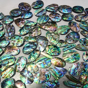 Natürliche Abalone Shell Lot, AAA Edelstein, Schmuck machen