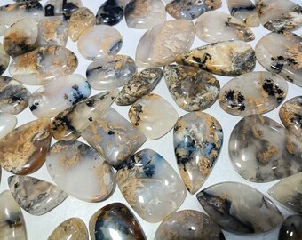 タイガーデンドライトアゲート ドゥルージー 素晴らしい品質のタイガーデンドライトアゲート ロット宝石 天然