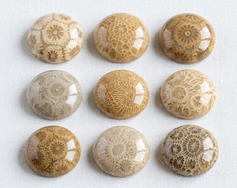RESERVED Rare SCARAB Vintage Glass Cabochon Stones Egyptian