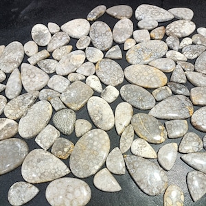 Fossil coral Lot Gemstone Natural Fossil coral Lot Cabochons Handmade Amazing Quality Fossil coral Lot, For Making Jewelry