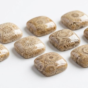 Puede incluir: Ocho piedras fósiles cuadradas con un acabado pulido y brillante. Las piedras son de color beige y marrón, con intrincados patrones que se asemejan a corales o estructuras vegetales. La disposición está sobre un fondo blanco.