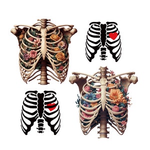 Skeleton Chest SVG File Png Easy to Cut Files, Rib Cage with Heart Cutting File for Cricut Silhouette, Digital File