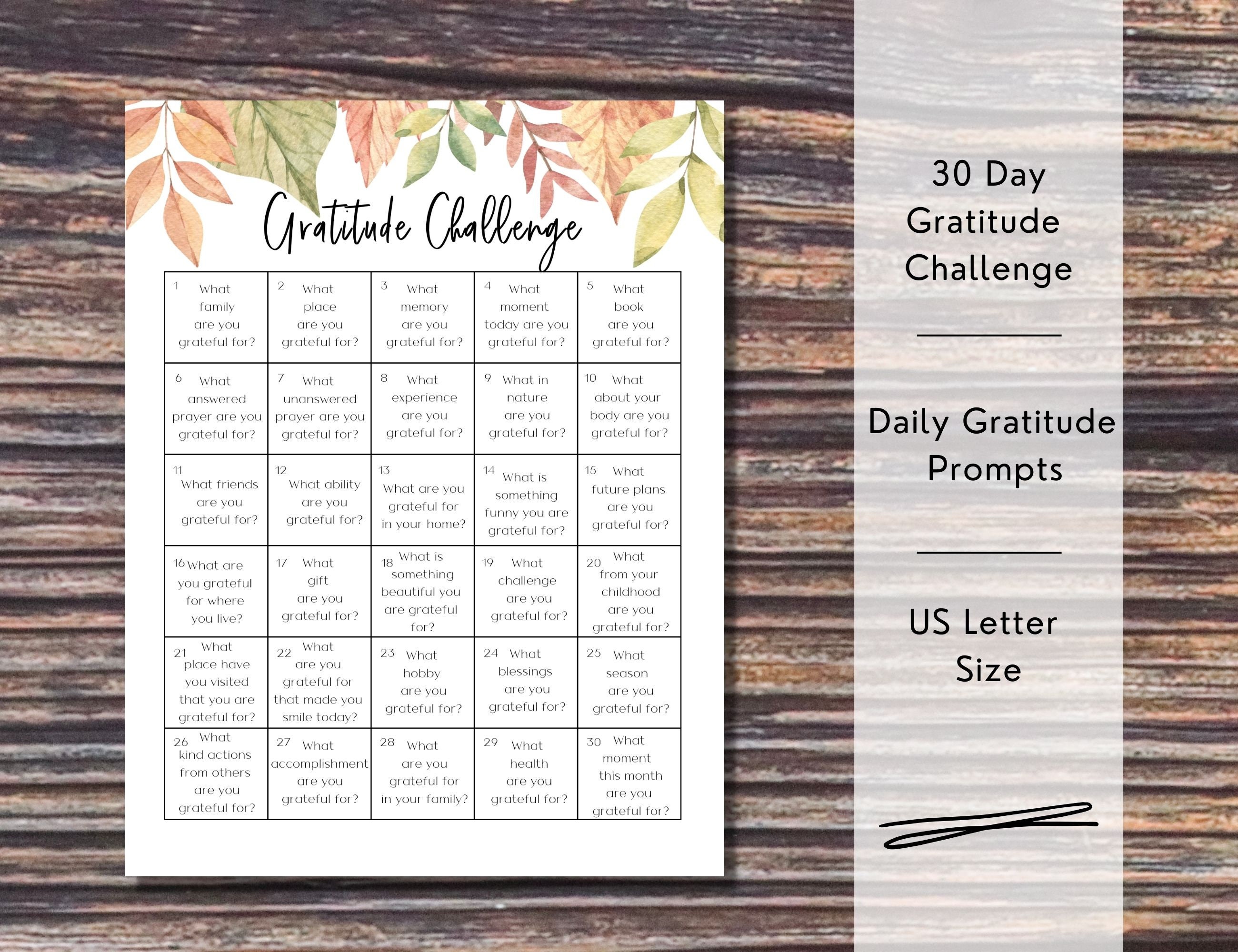 30 Day Gratitude Challenge Printable Monthly Challenge Tracker 30 Day Gratitude Challenge Printable Monthly Challenge Tracker