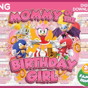 Sonic Birthday Girl Familie Png Bundle - Amy Rose Birthday Girl Shirt Bild