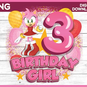 Sonic Birthday Girl png age 3 - Amy Rose Birthday girl shirt image - Personalize