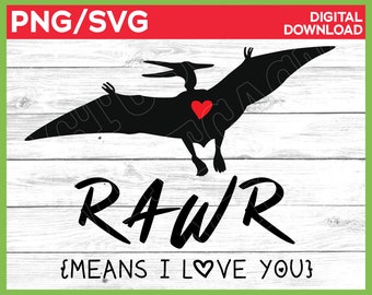 PTERODACTYL Dinosaur Valentine shirt, PTERODACTYL Valentines svg png, kids valentine svg png, Rawr Means I Love You Diny Shirt svg png