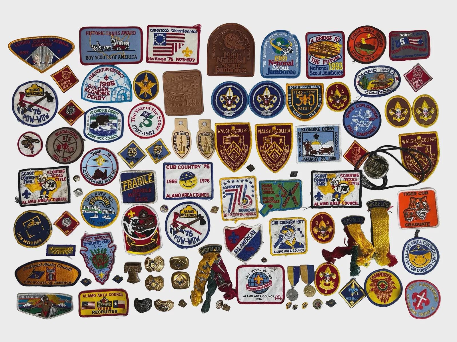 Earn The Tiger Rank: A Cub Scout's Ultimate Guide In 2025