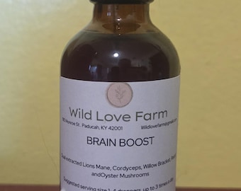 Brain Boost Dual Extracted Mushroom Tincture