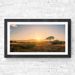 ボスケ・デル・アパッチの夕日、砂漠の風景、ニューメキシコのコットンウッド、風景、自然写真、家庭やオフィスで使えるデジタルダウンロード可能なアート