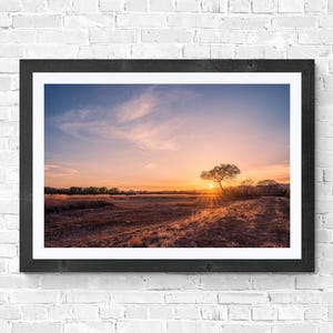 ボスケ・デル・アパッチの夕日コットンウッドの木ニューメキシコ風景写真自然葦デジタルダウンロード家庭やオフィス用のアートワーク