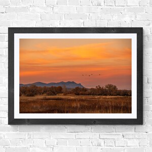 ニューメキシコ州ボスケデルアパッチの夕日デジタルダウンロード自然風景野生動物写真芸術家庭やオフィスの冬の渡り