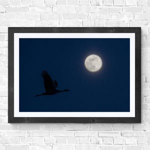 カナダヅルと満月 ニューメキシコの夜景写真 ブルーアワー ボスケ自然野生動物写真 デジタルダウンロード