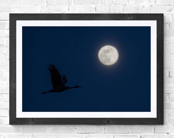 May include: A framed print featuring a silhouette of a bird in flight against a dark blue sky. A full, bright moon is visible in the background. The artwork is framed in a black wooden frame with a white mat.