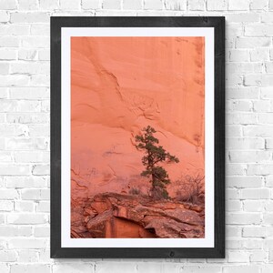 Puede incluir: Fotografía enmarcada de un paisaje desértico. Un árbol verde solitario se alza sobre un afloramiento rocoso contra un telón de fondo de una gran formación rocosa texturizada, de color rojo anaranjado. La fotografía está en un marco negro con un paspartú blanco.