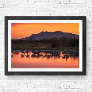 カナダヅルのねぐら、池の風景、野生動物、デジタルダウンロード、ホーム用アート、ニューメキシコの夕日の写真