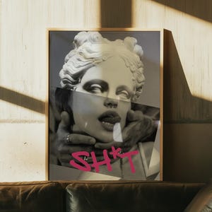 Può includere: Stampa artistica incorniciata con un'immagine in bianco e nero di una scultura classica con un effetto collage moderno. La parola "SH*T" è scritta in rosa. La stampa è esposta su una parete sopra un divano in pelle.