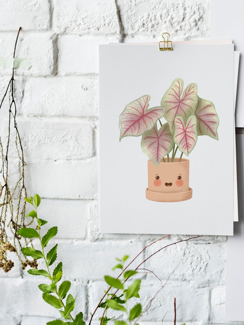 Caladium Pink Beauty Art Print, Printable Art, Happy Plants Club, Digital Botanical Illustration, Plants Art Print, Cute Plant Artwork image 3