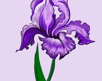 Iris purple botanical wall art, purple flower wall art, purple iris flowers art print. Iris flower artwork, iris painting.