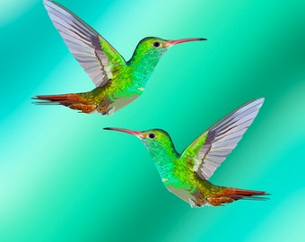 Duo Hummingbird Green Art Print, Hummingbird Painting, Hummingbird Wall Art, hummingbird decor, bird lover gift, bird art, painting.